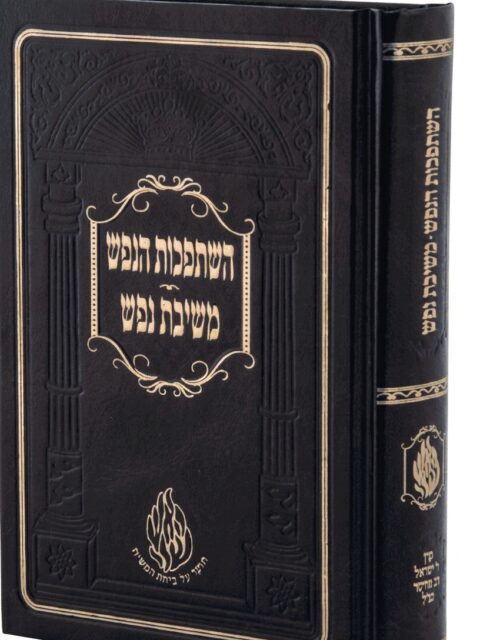משיבת נפש והשתפכות הנפש - קרן רבי ישראל דב אודסר