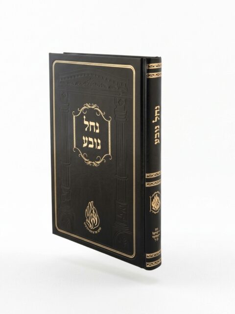 נחל נובע