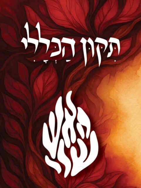 תיקון הכללי – האש שלי אדום ובורדו