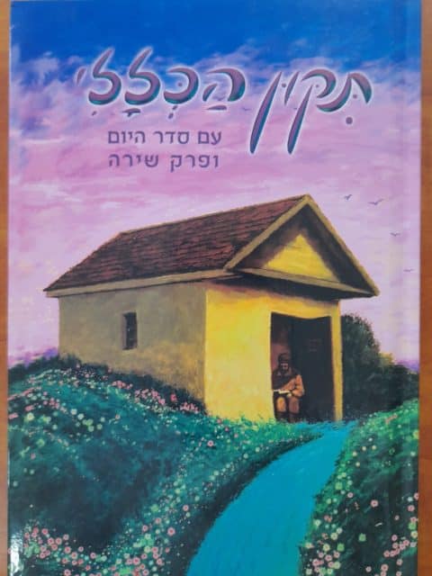 תיקון הכללי צבעוני – כריכה קשה