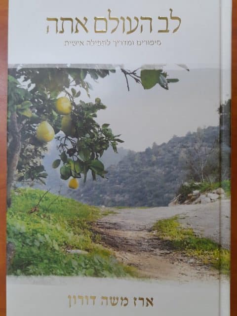 לב העולם אתה – ארז משה דורון