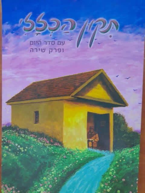 תיקון הכללי צבעוני – כריכה רכה