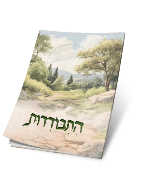 התבודדות
